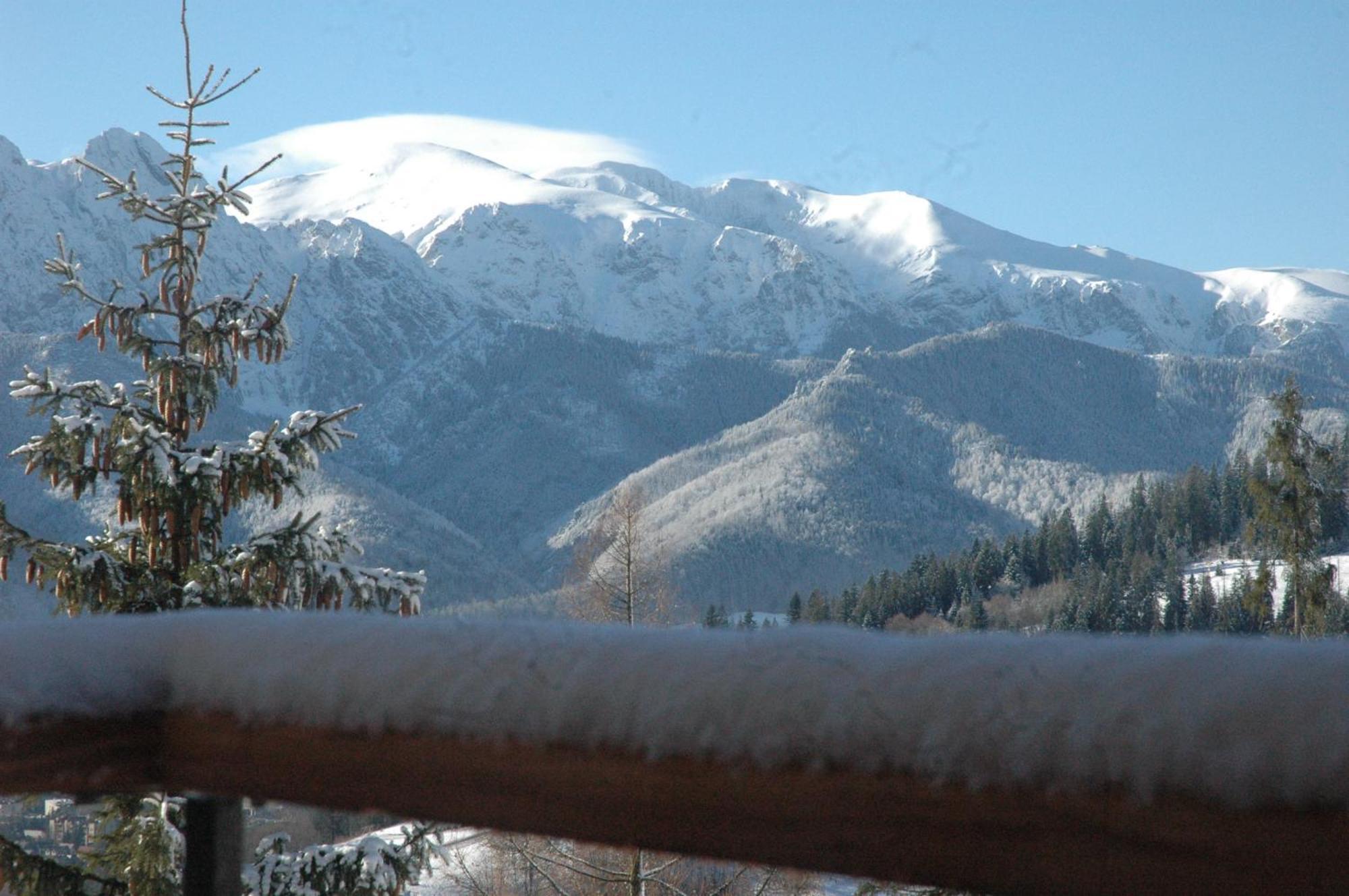 Widok Apartamenty Zakopane Exterior photo